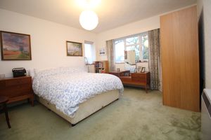 Photo 15- click for photo gallery